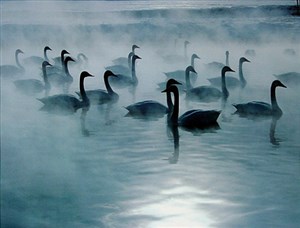 Image description is not available for 2018.021